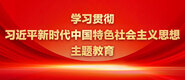 靠逼视频免费啊操死我爽歪歪学习贯彻习近平新时代中国特色社会主义思想主题教育_fororder_ad-371X160(2)